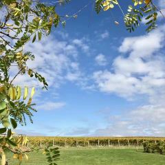 Oakridge Wines User Photo