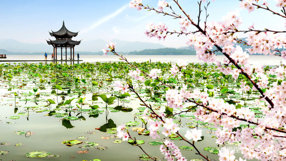 HangzhouTours