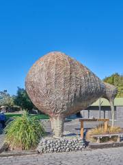 オラーナ野生動物公園