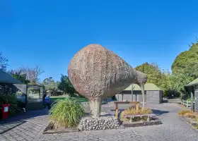 奧拉納野生動物園