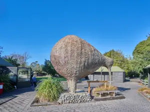 奧拉納野生動物園