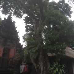 Cafe Lotus Ubud User Photo