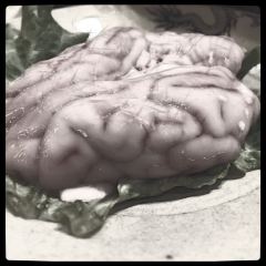 小龙坎火锅(全球旗舰店) User Photo