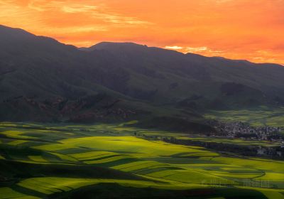 The Qilian Mountain Scenic Area