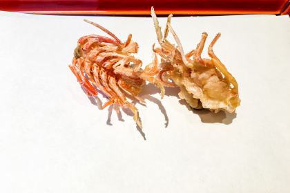 Tempura Kondo