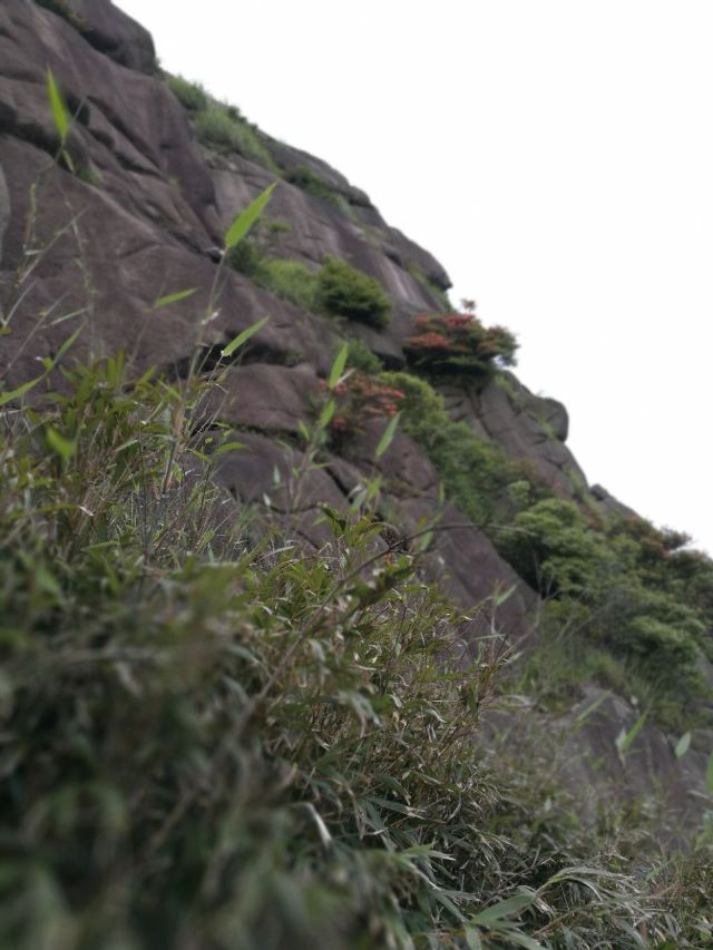 관음산