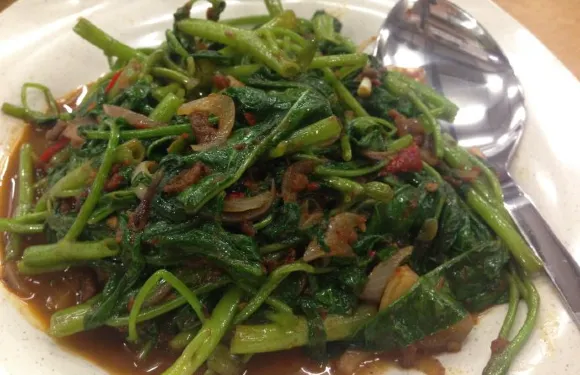 143 seafood restaurant