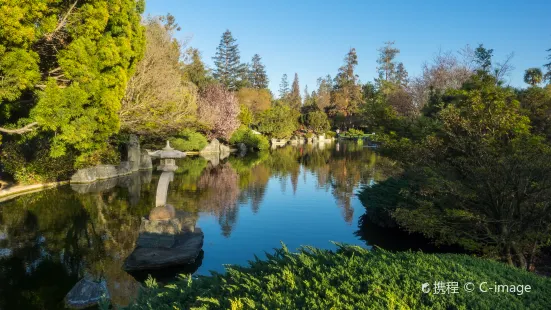 Japanese Friendship Garden