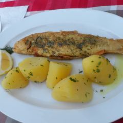 Gasthof Simony Restaurant am See User Photo