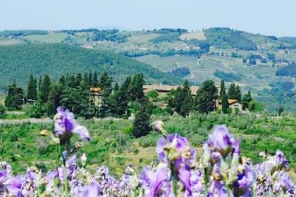 Agriturismo Castellinuzza e Piuca