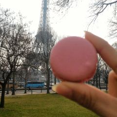 Laduree User Photo