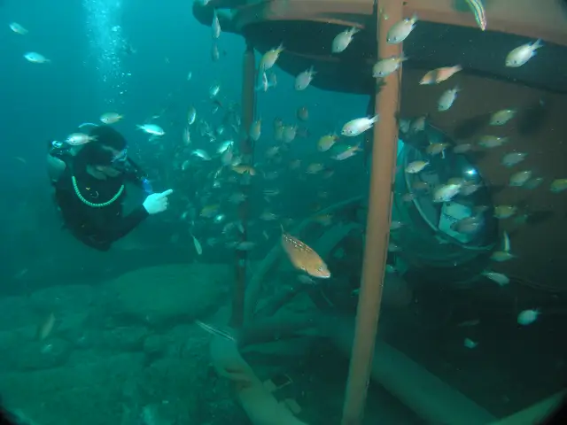 Scuba Diving in Seogwipo