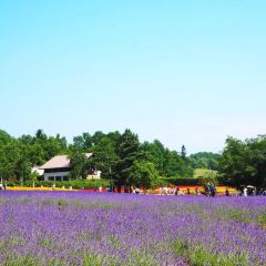 Kohi Morinotokei User Photo
