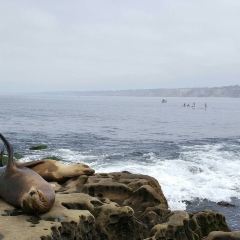 THE MARINE ROOM 여행 사진