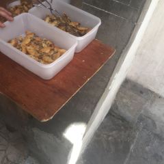 好再来烧饼(老街店) User Photo