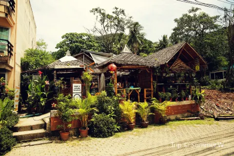 Jungle Kitchen