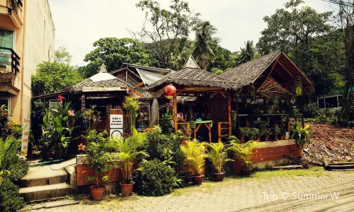 Jungle Kitchen
