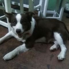 Yujian Bar User Photo