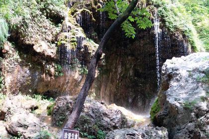 Guoguoyangroutangguan (nongyelu)