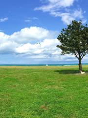 Montrose Beach