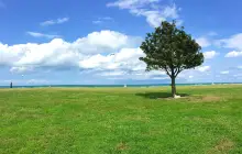 Montrose Beach