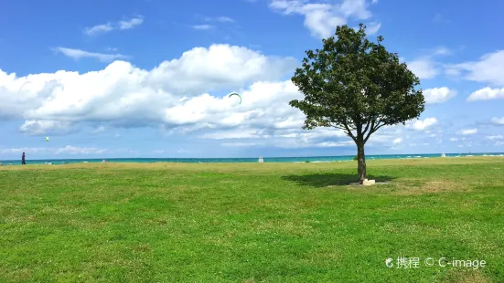 Montrose Beach