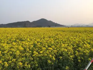 湧上外婆橋（餘姚萬達店）