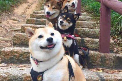 全聚客如意火锅烧烤.麻辣烫(陋巷街店)