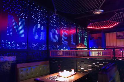 Panggeliarouxiebao (nanpingwandaxinguan)