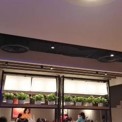 肯德基(孟山路店) User Photo