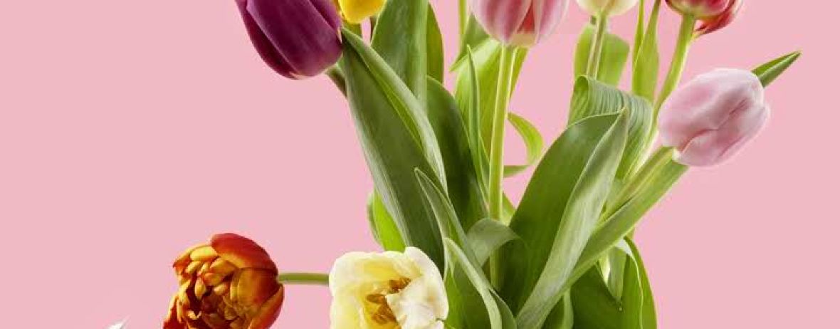 好又多水饺城(有朋路店)