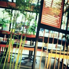 BAI TE XI BI SA RI YUE GUANG CAN TING User Photo