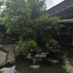 優之名鵝城張用戶圖片