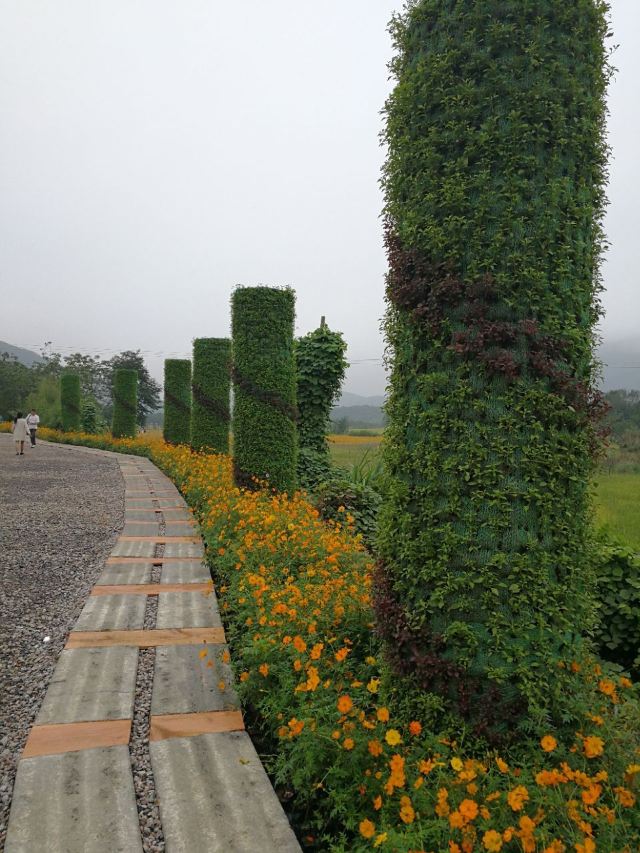 Taiji Wuse Valley