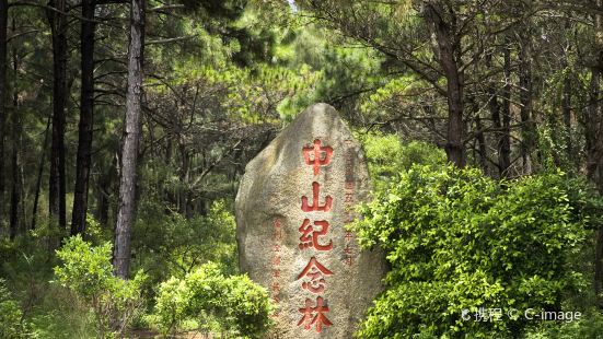 中山紀念林