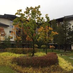 万豪酒店·龙舍中餐厅 User Photo