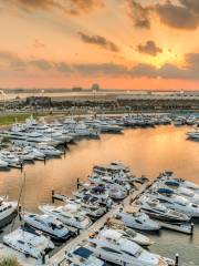 Yas Marina Abu Dhabi