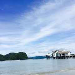 Kayuputi User Photo