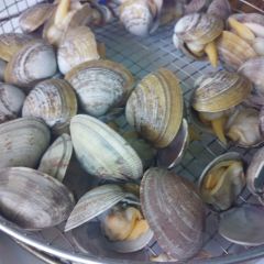 SEAFOOD MASTER User Photo