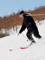 Yunfeng Mountain Ski Field