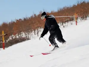 Yunfeng Mountain Ski Field