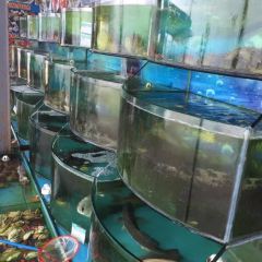 And the sea User Photo