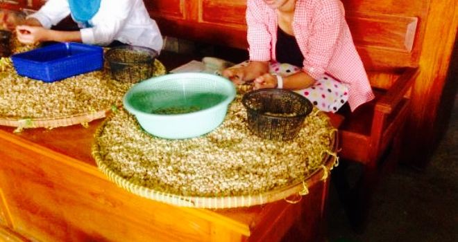 Mataram Loewak Coffee