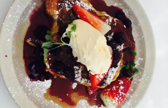 Hummingbird Busselton