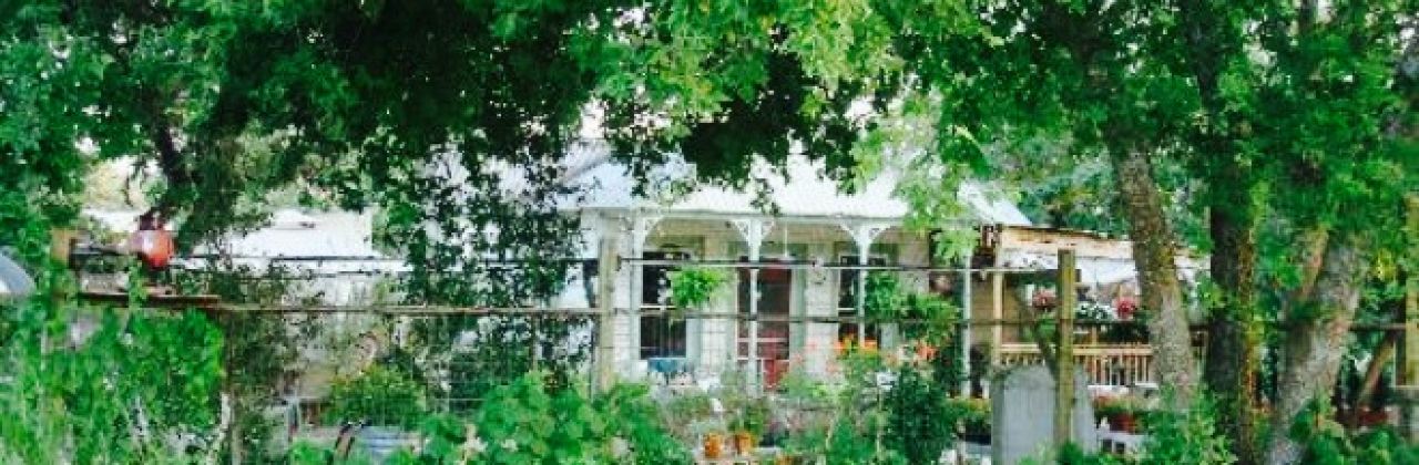 Rolling in Thyme and Dough