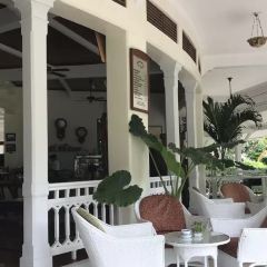 The Museum Coffee & Tea Corner User Photo
