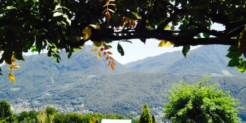 Ristorante San Grato