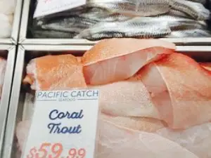 Pacific Catch Seafood