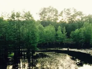 The Mill At Puppy Creek