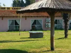 El Buho